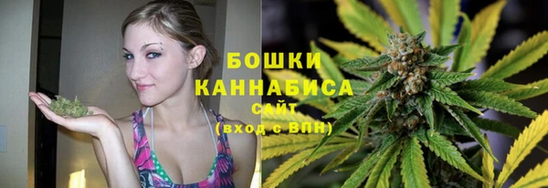 СК Михайлов