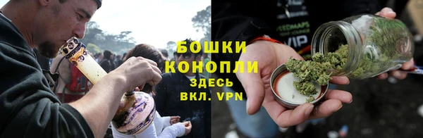 ПСИЛОЦИБИНОВЫЕ ГРИБЫ Киров