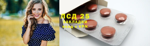 СК Михайлов