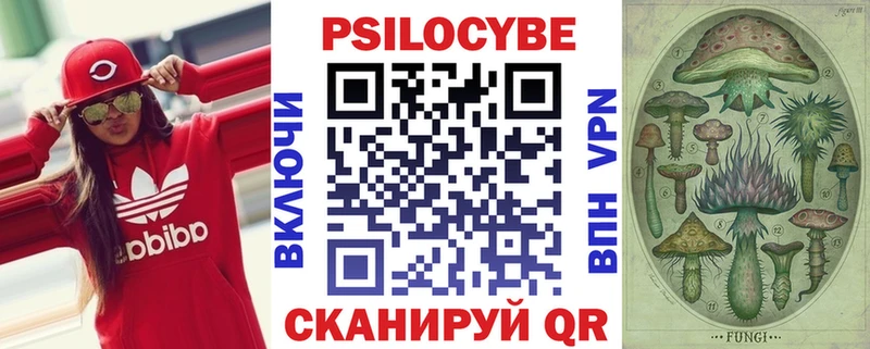 Псилоцибиновые грибы мухоморы  цена наркотик  Владимир 